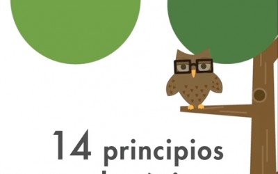14 principios pedagógicos