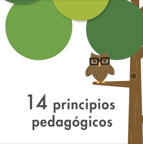 14 principios pedagógicos